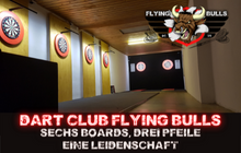 Dart Club Flying Bulls 20